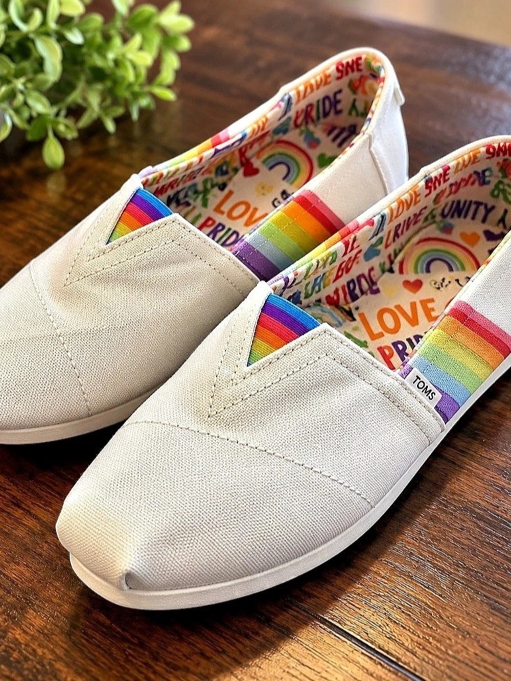 TOMS Pride Rainbow Love Unity Alpargata Slip On Shoes Size 9